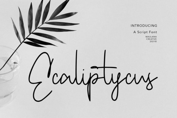 Ecaliptycus Script: Elevate Your Designs with Elegant Typography