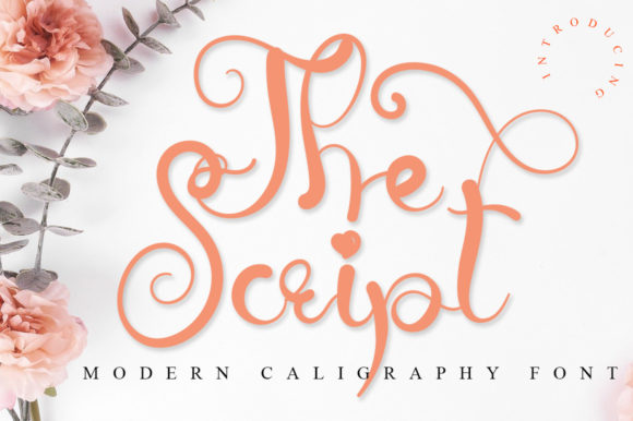 The Script: A Touch of Elegance in Modern Typography